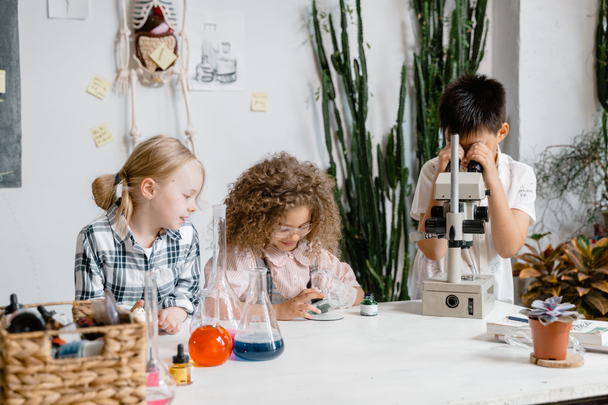 studenti durante il laboratorio di scienze